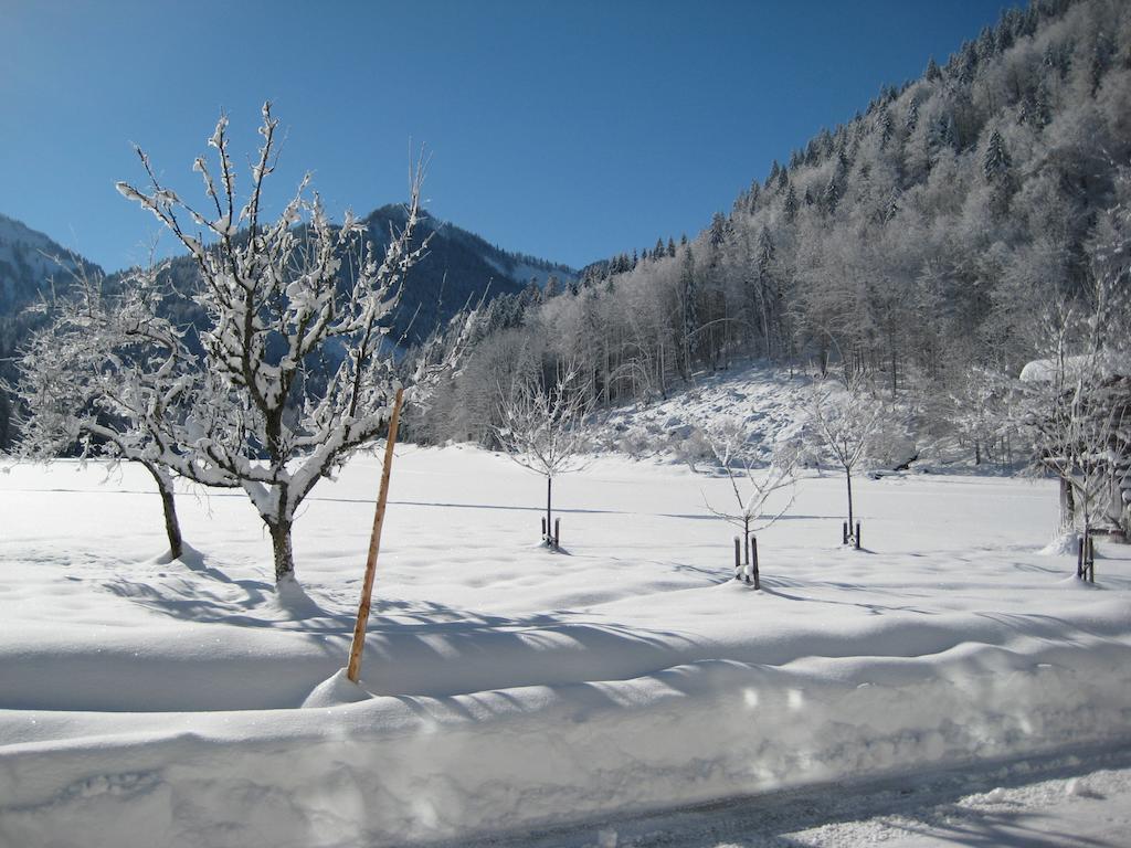 Biobauernhof Hauserbauer Hintersee Εξωτερικό φωτογραφία