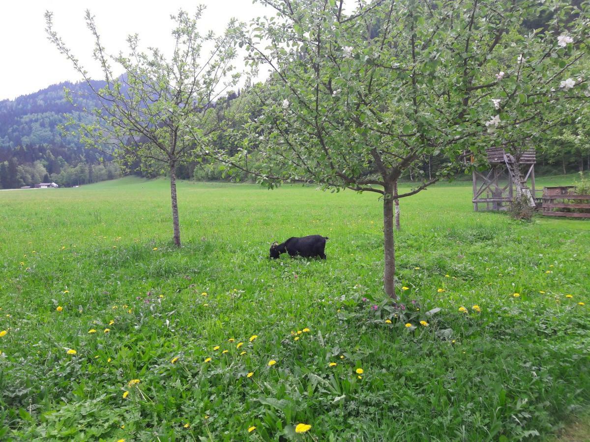 Biobauernhof Hauserbauer Hintersee Εξωτερικό φωτογραφία