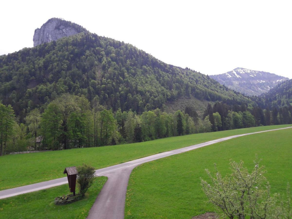 Biobauernhof Hauserbauer Hintersee Εξωτερικό φωτογραφία