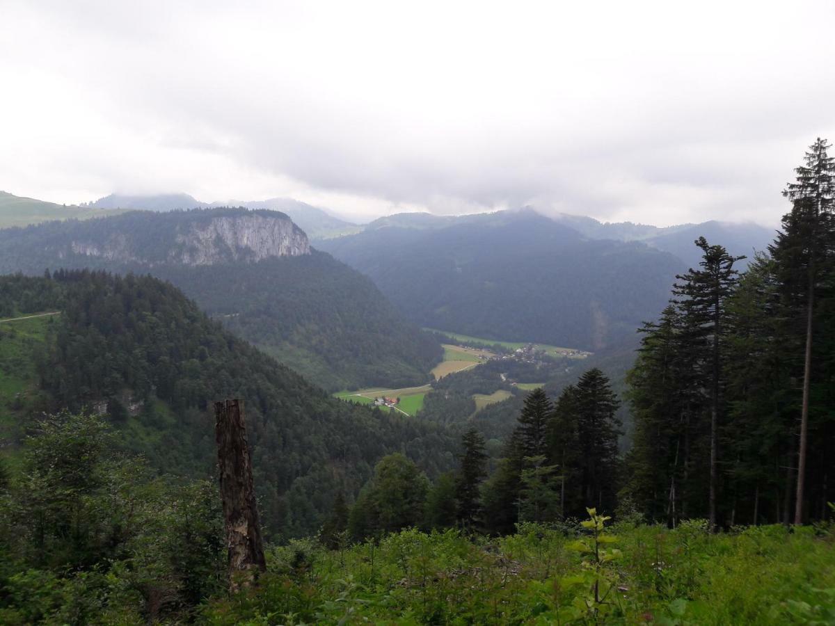 Biobauernhof Hauserbauer Hintersee Εξωτερικό φωτογραφία
